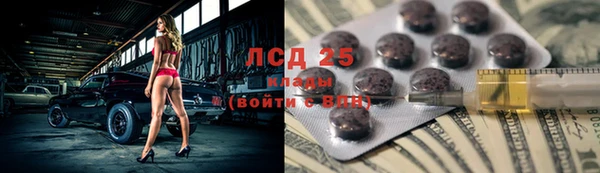 СК Новодвинск