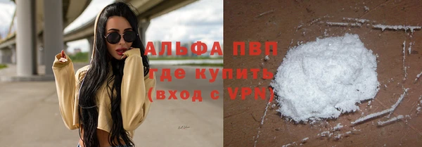 СК Новодвинск