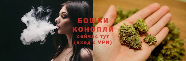 первитин Нягань